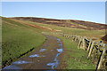 A track at Caddonhead Farm