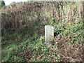 Milestone on Dawlish Road, Alphington