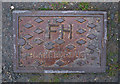 Fire hydrant cover, Groomsport