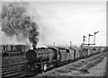 Eastbound freight on North Mersey line passing site of Ford Station and Aintree Sorting Sidings