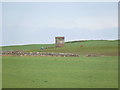 Tower near Palmallet Farm.