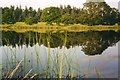 Dalswinton Loch