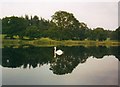 Dalswinton Loch, Dumfriesshire