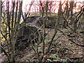 Manchester Bolton & Bury Canal, Site of 1936 Breach