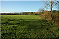 Farmland near Northwood Green