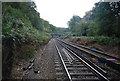 Crossing the Hastings line south of Wadhurst Station