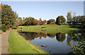 A pond at Sanquhar