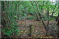 Gate across the Sussex Border Path, Beech Wood