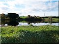 Dam Lake from Derinilla Lane, Dundrum