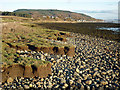 Northern coast of the Beauly Firth