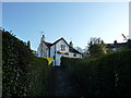 Hedge- lined path to pub