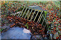 Culvert, Ballygilbert near Bangor