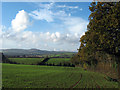 Fields near Fiddington