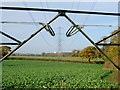 ST2342 : Pylons in cabbage field, Coultings by Ken Grainger