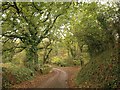 Lane below Wrescombe