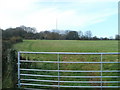 Field on the west side of Old Port Road, Wenvoe