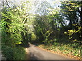 Sutton Hill road looking down towards Bishop Sutton