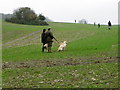 Waiting for the birds, Winterborne Clenston