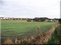 Fields at Bargeddie