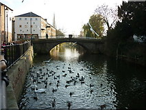 SE9907 : Feeding the birds on the Old River Ancholme by Ian S