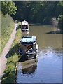 View from bridge 36, Grand Union Canal