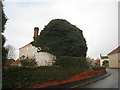 Derelict House in Althorpe