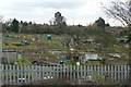 Across the railway fence