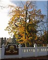 Buddhapadipa Temple, Wimbledon