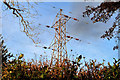 Pylon and power lines, Dunmurry