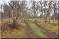 Farm track near Catlodge