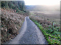 Track on the Severn Way