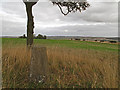 SE8450 : Trig point with fields beyond by Trevor Littlewood