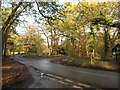 Junction by Burnham Beeches