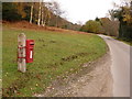 Godshill: postbox № SP6 260, Castle Hill