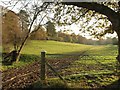 Valley, Dorney Wood