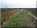 Farm track to Orgarswick Farm