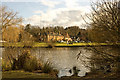 The village pond