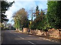 Calonne Road, Wimbledon