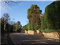 Calonne Road, Wimbledon