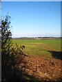 Field opposite Merthen Manor Cottage