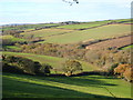 Wooded valley below Trevilgan Farm