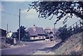 Thatched Cottages