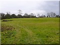 Fields Near Gaydon