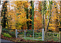 Gate near Crawfordsburn