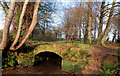 Culvert, near Bangor (2)