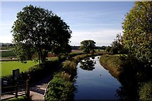 ST0013 : The Grand Western Canal from Greenway Bridge by Tony Atkin