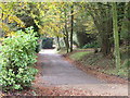 Private road near Chelwood Gate, East Sussex