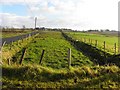 Deerfin Townland