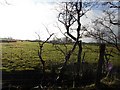 Cross Townland