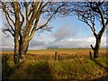 Cross Townland